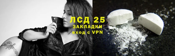PSILOCYBIN Алзамай