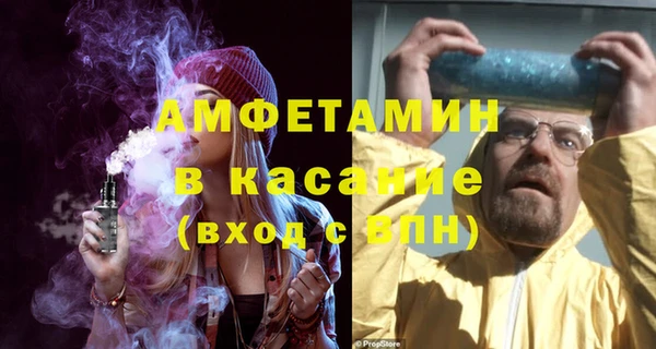 PSILOCYBIN Алзамай