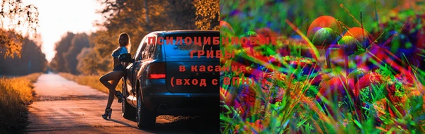первитин Алексеевка