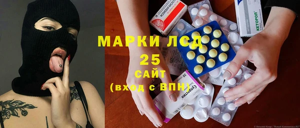 PSILOCYBIN Алзамай